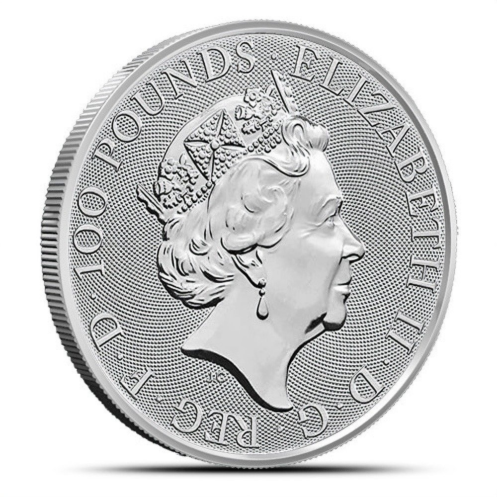 1 oz British Platinum Britannia Coin (Random Year) - Image 2