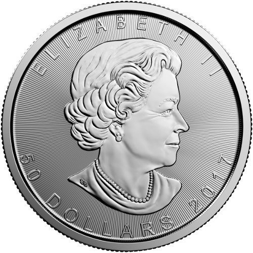 1 oz Canadian Platinum Maple Leaf Coin (Random Year) - Image 4