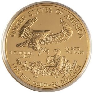 2002-W 1 oz Proof American Gold Eagle Coin (Box + CoA)