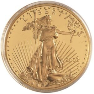 2003-W 1 oz Proof American Gold Eagle Coin (Box + CoA)