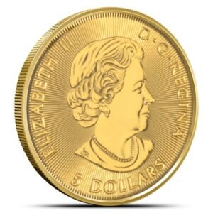 2018 1/10 oz Canadian Gold Polar Bear Coin