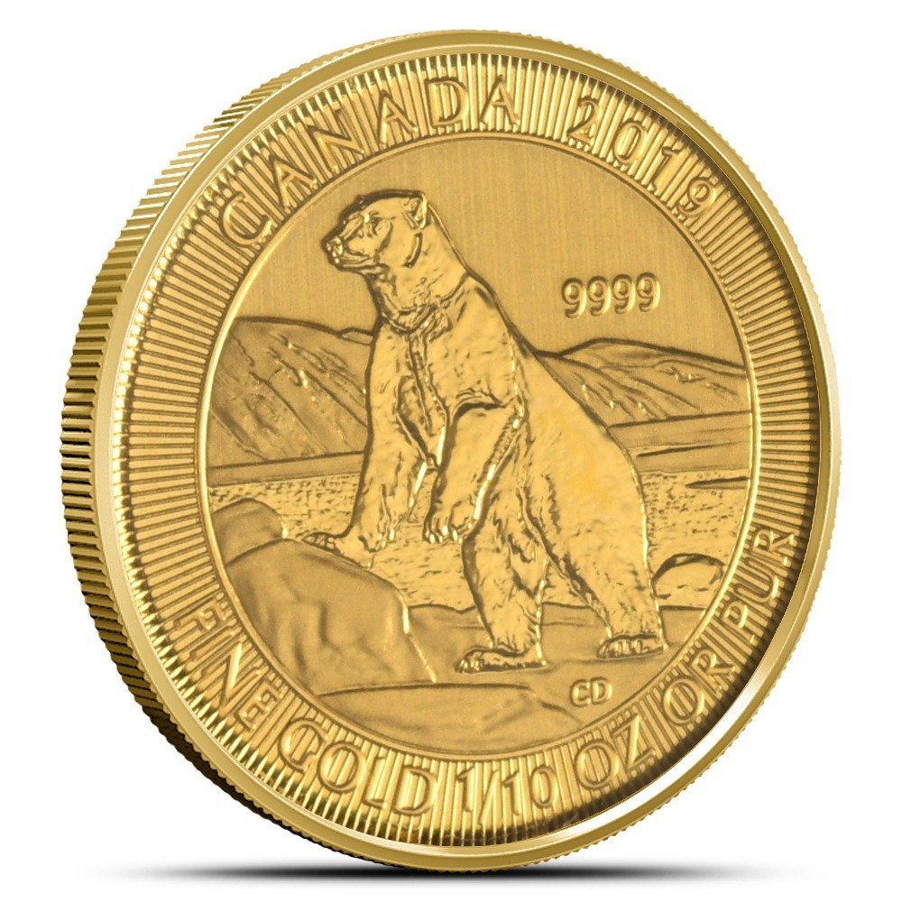 2019 1/10 oz Canadian Gold Polar Bear Coin
