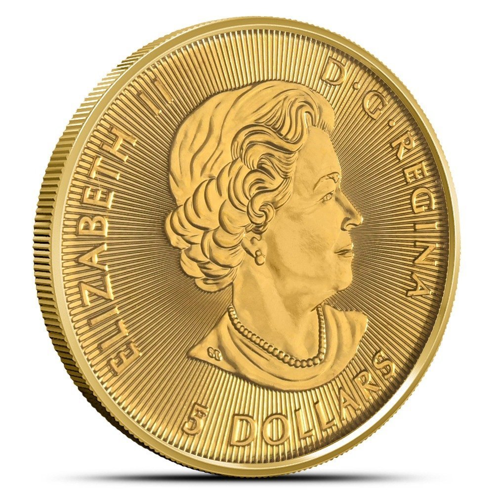 2019 1/10 oz Canadian Gold Polar Bear Coin - Image 2