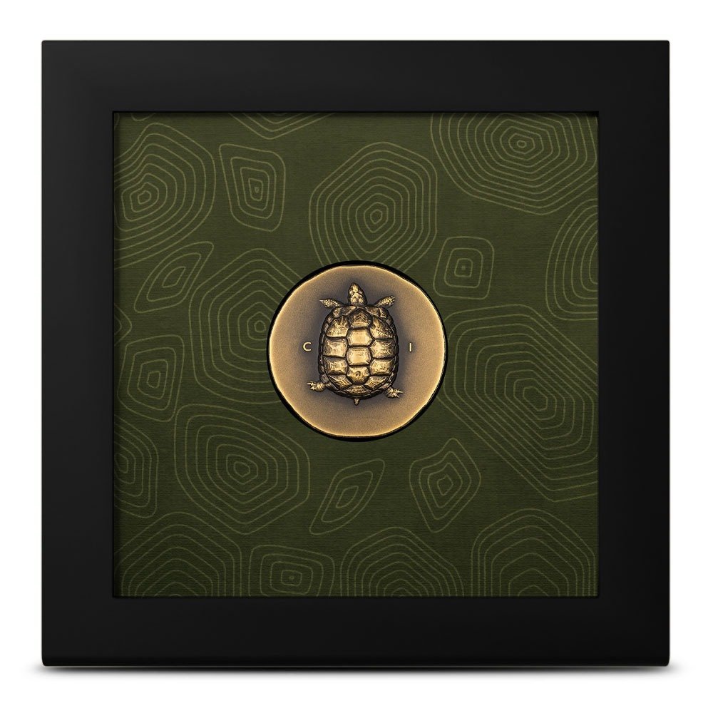2023 1 oz Antique Cook Islands Gold Tortoise Coin - Image 3