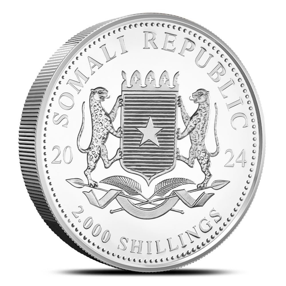 2024 1 Kilo Somalia Silver African Wildlife Leopard Coin (BU) - Image 2