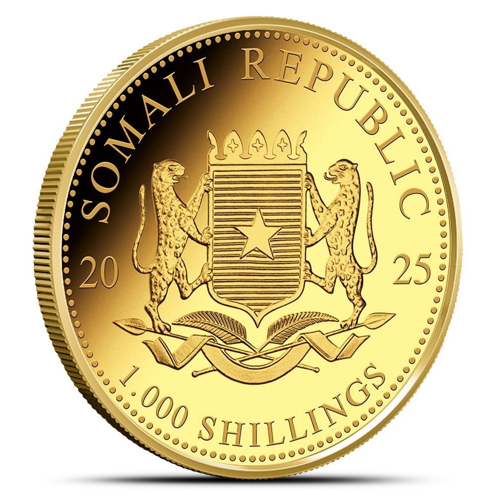 2025 1 oz Somalia Gold African Wildlife Leopard Coin (BU) - Image 2